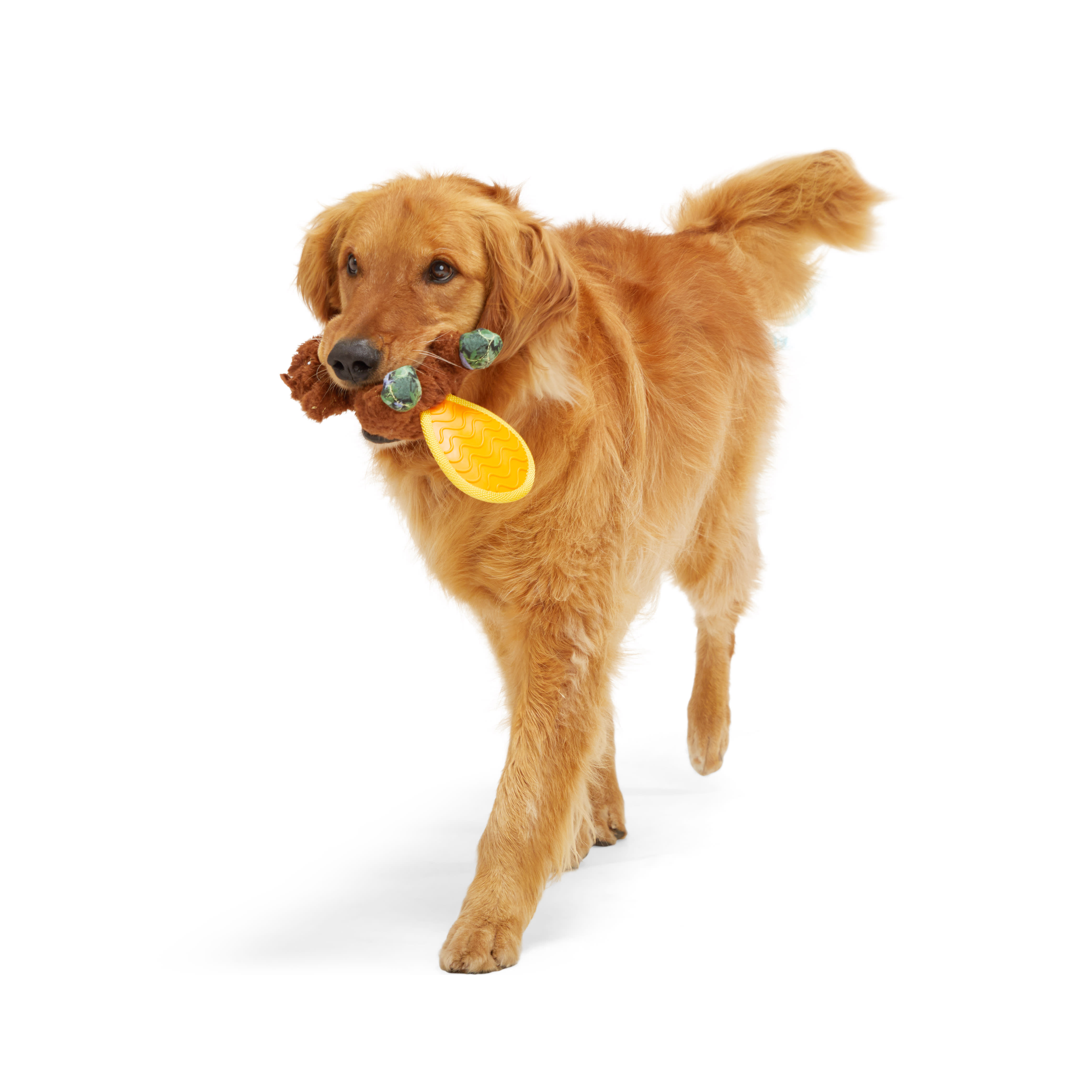 Leaps  Bounds Tough Beaver with Rubber Tail Dog Toy