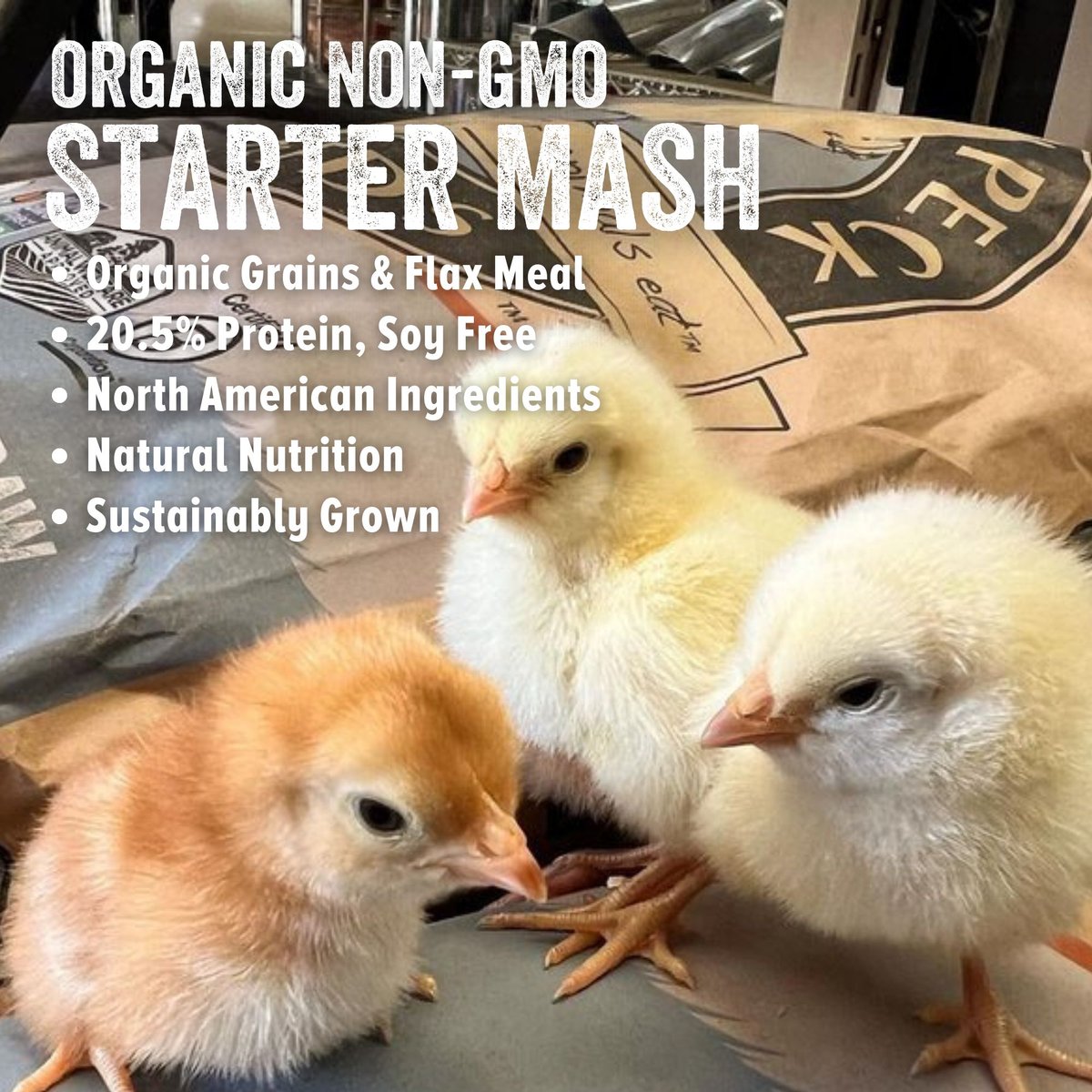 Scratch and Peck Feeds Naturally Free Organic Starter Chicken and Duck Feed