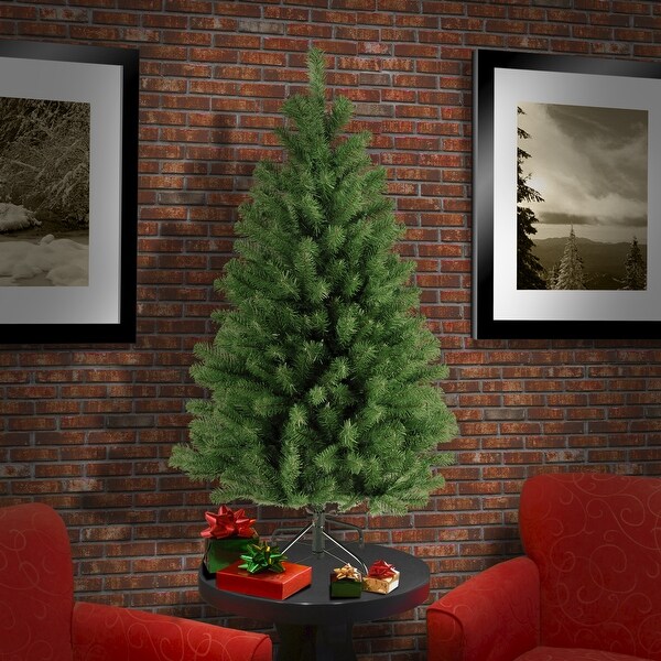 National Tree Company 4 ft. North Valley Spruce Tree