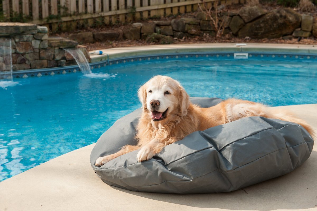 Snoozer Pet Products Round Pillow Dog Bed w/Removable Cover