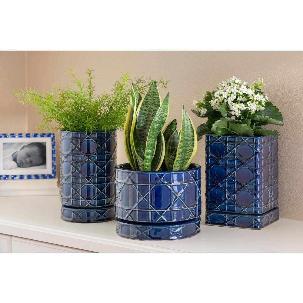 Trendspot 8.5 in. Dia Cobalt Blue Carlysle Ceramic Bowl Planter ECR10020S-080M