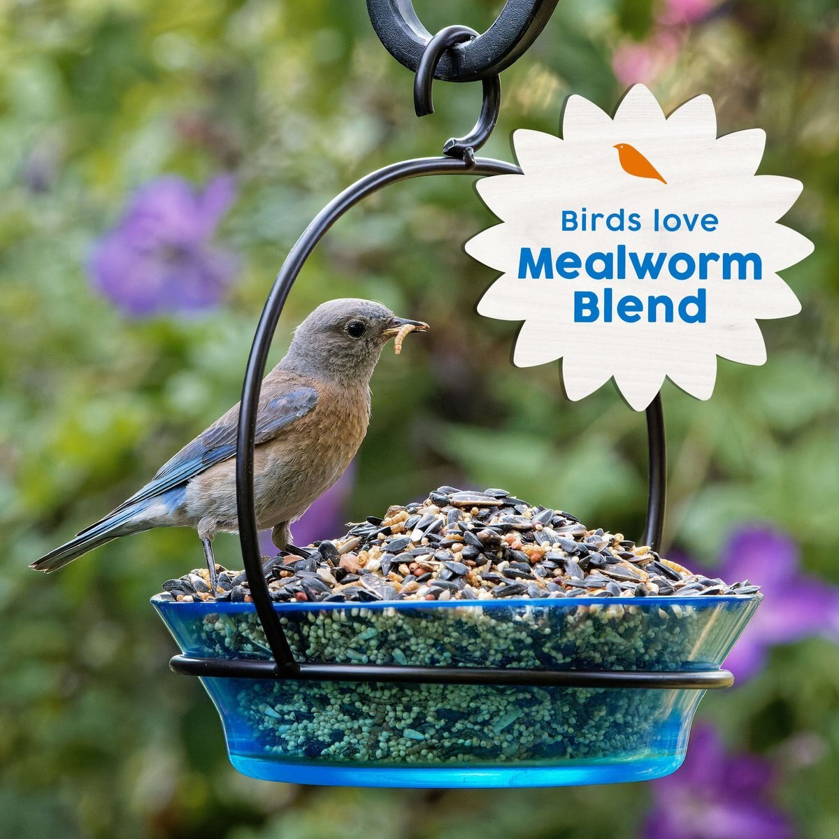 Harvest Seed and Supply Mealworm Wild Bird Food