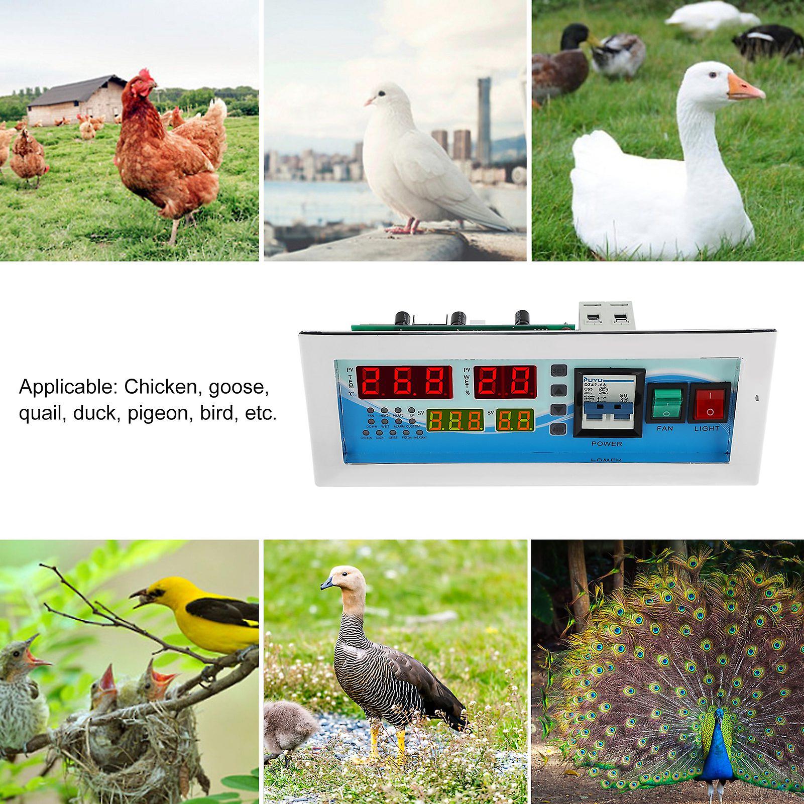 Digital Egg Incubator Controller With Lcd Screen And High Accuracy Temperature And Humidity Control For Poultry Eggs