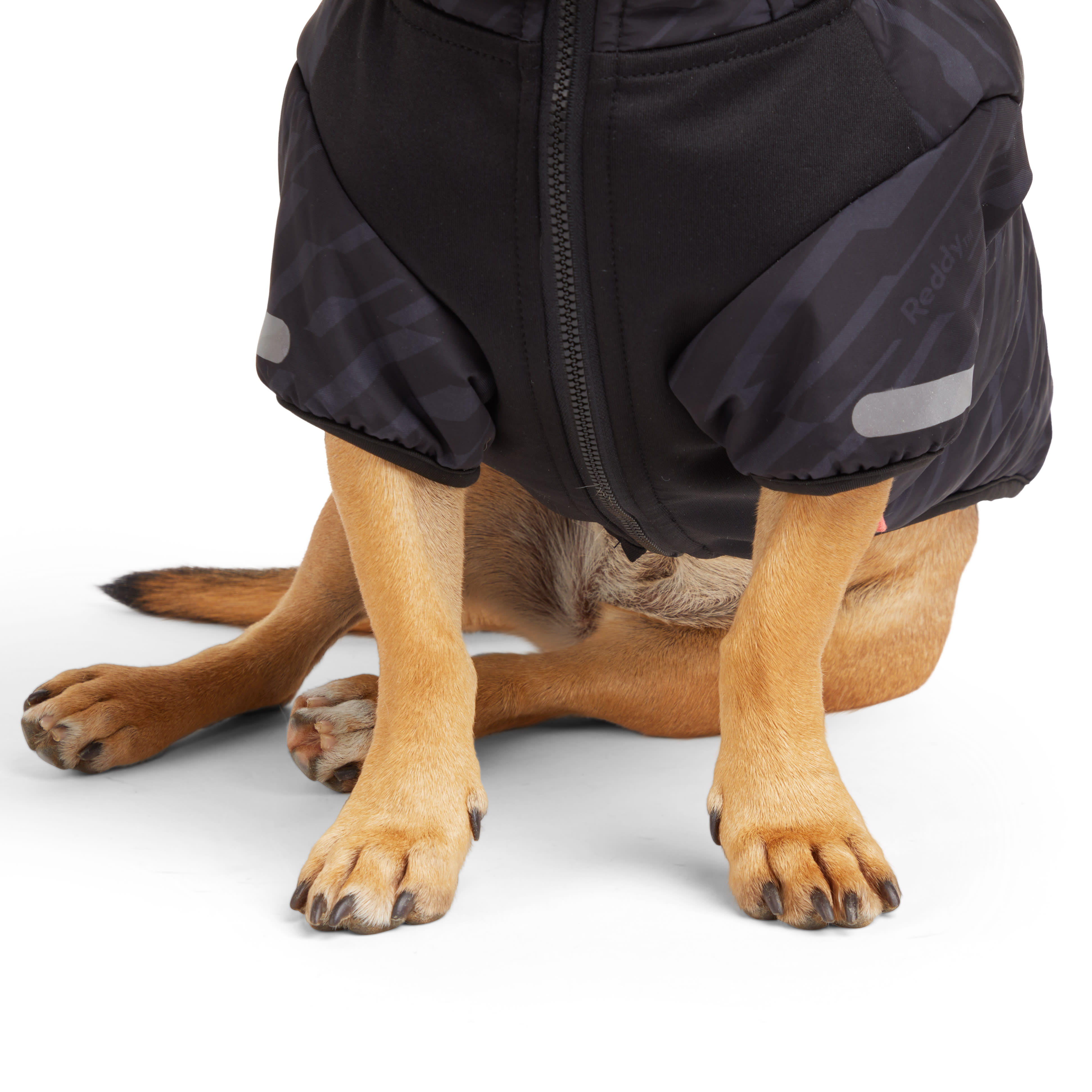 Reddy Superior Warmth Primaloft Dog Puffer， XX-Small