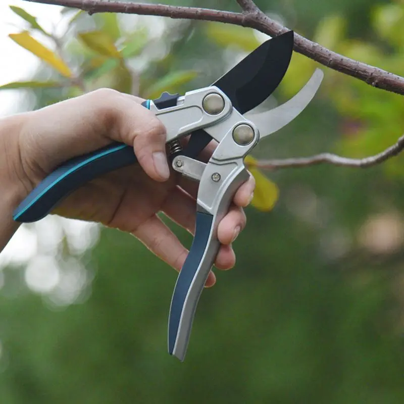 Odm Hand Pruners Titanium Garden Tools Heavy Duty Pruner Pruner