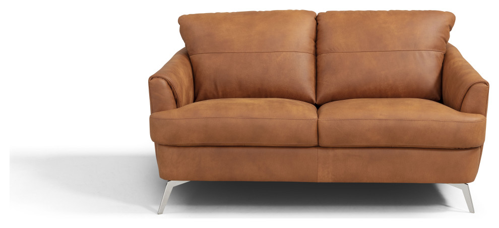 ACME Safi Loveseat  Cappuccino Leather   Midcentury   Loveseats   by Acme Furniture  Houzz