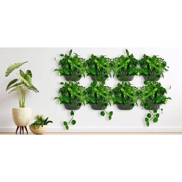 7 in. x 12 in. x 9.5 in. Black Resin BPA-Free Wall Mounted Self-Watering Wall Planter WpotBlk1set