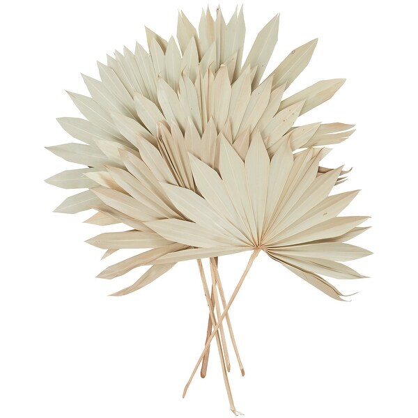 Cream Dried Plant Handmade Large Sun Spear Palm Leaf Home Decor Natural Foliage