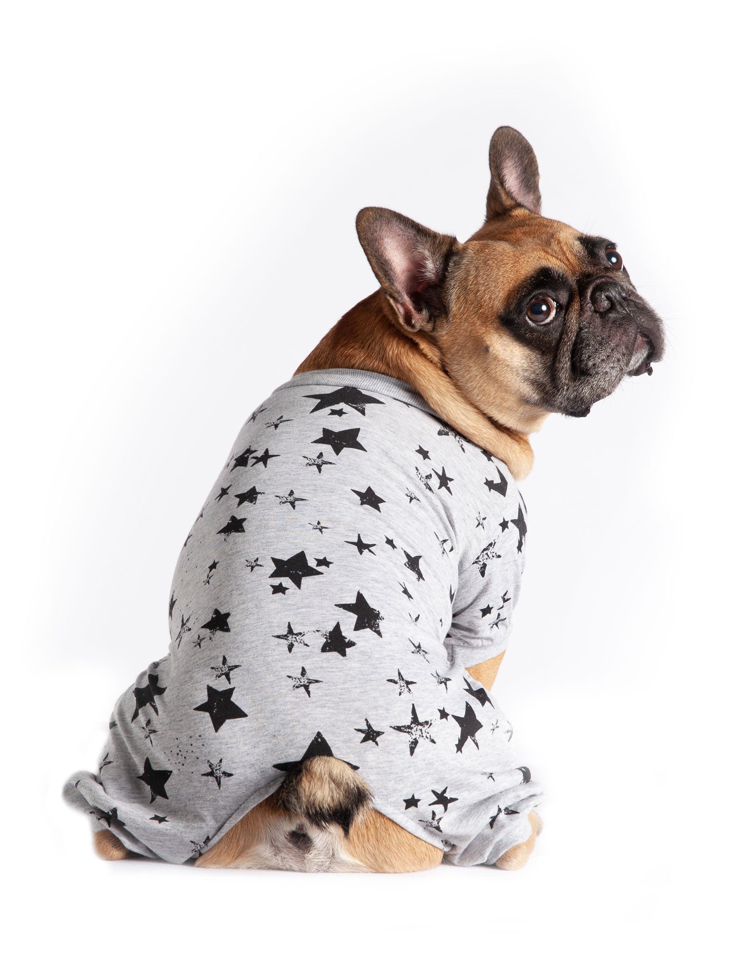 Coco + Rebel Black Star Dog Pajama