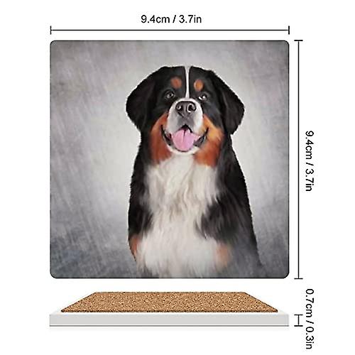 Colourlife Square Drink Coasters 2 Pcs Vintage Color Bernese Mountain Dog Absorbent Ceramic Coffee Coasters For Drinks With Cork Base Housewarming Gif