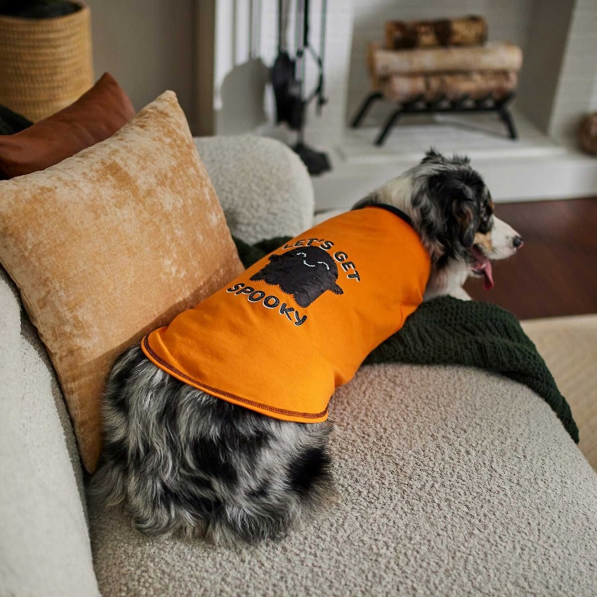 Frisco Sequin Let's Get Spooky Dog and Cat T-Shirt