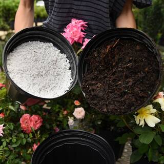 Perfect Plants 4 Qt. Perlite - Growers Grade Soil Amendment HDSoil017