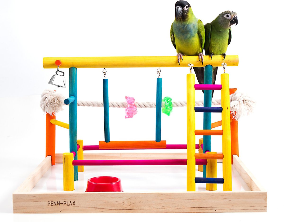 Penn-Plax Cockatiels and Medium Birds Wood Playpen