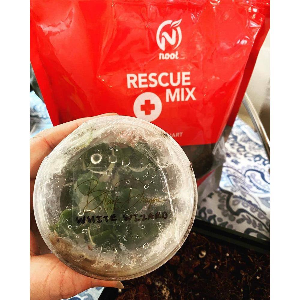 NOOT 1 qt. Organic Propagation Root Rescue Potting Mix RESCUE-MIX