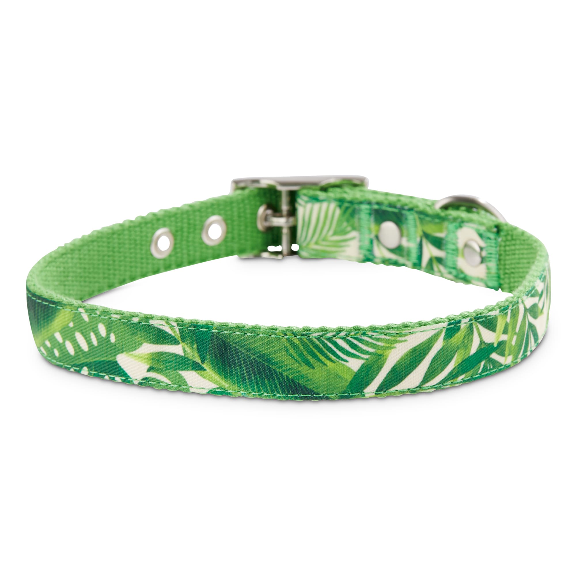 Bond  Co. Palm Springs Dog Collar， Small