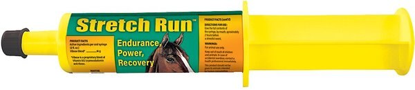 Finish Line Stretch Run Endurance and Recovery Paste Horse Supplement， 2-oz syringe