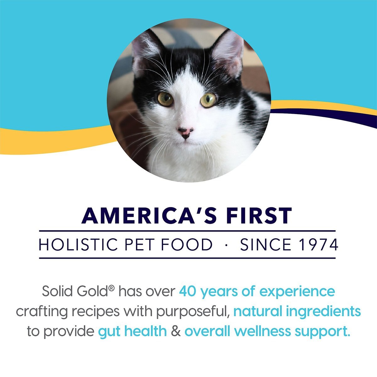 Solid Gold NutrientBoost Katz-N-Flocken Lamb， Brown Rice and Pearled Barley Recipe Dry Cat Food