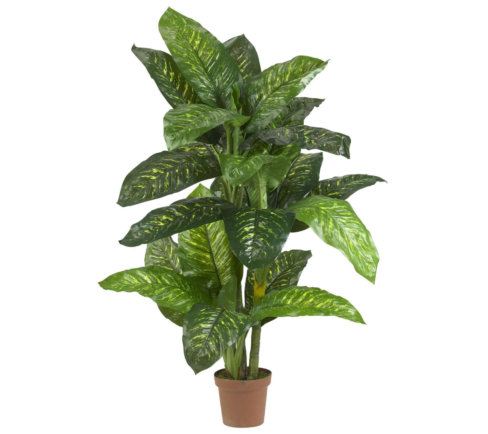 5' Dieffenbachia Silk Plant by Nearly Natural