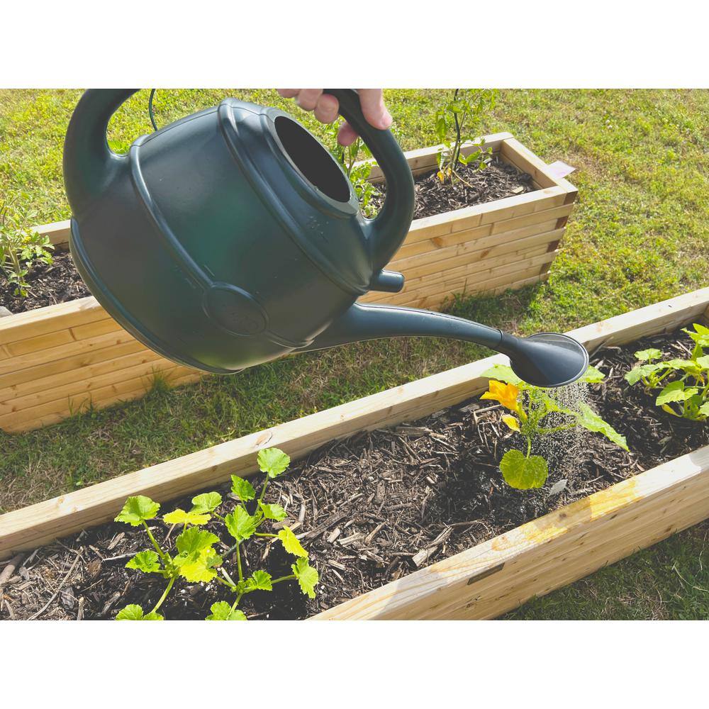 Bosmere English Garden 2-12 Gal. Outdoor Black Plastic Watering Can V565