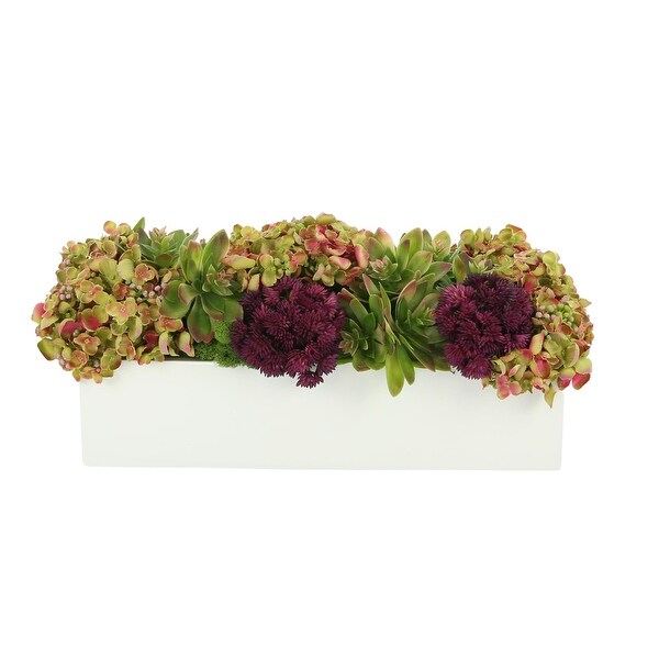 Sedum and Thistle Arranged in Rectangular Planter