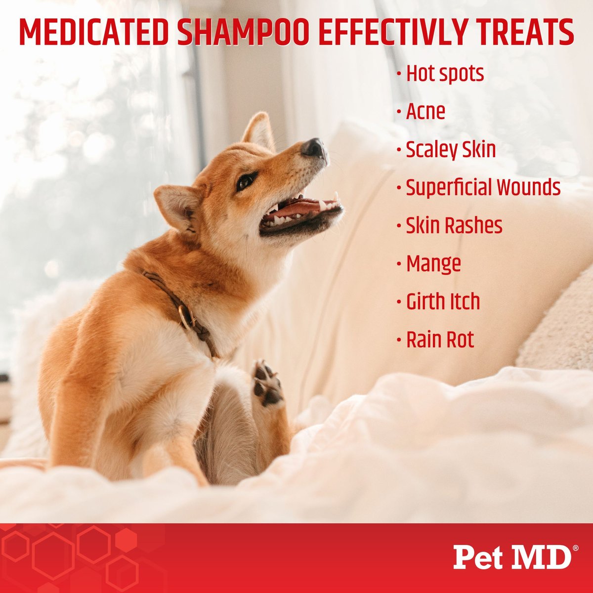 Pet MD Antiseptic and Antifungal Medicated Shampoo， 8-oz bottle