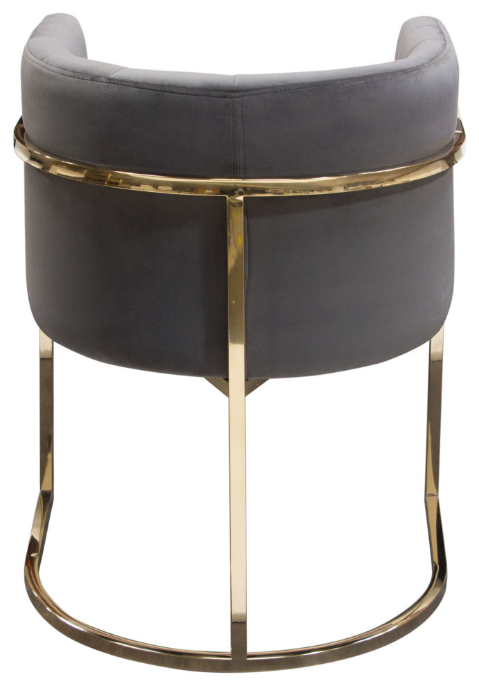 Pandora Dining Chair  Gray Velvet With Polished Gold Frame by Diamond Sofa   Contemporary   Dining Chairs   by Morning Design Group  Inc  Houzz