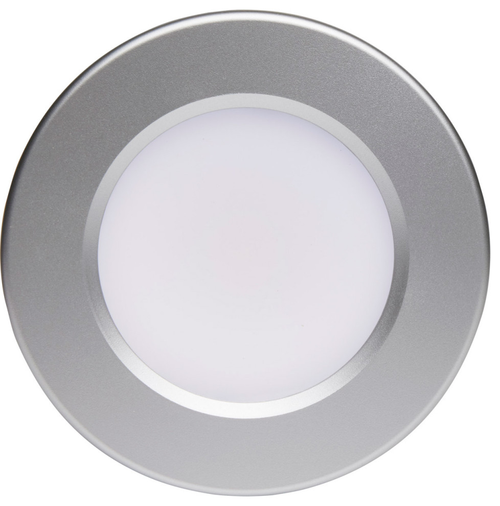 ColorQuick Flush Mount  Brushed Nickel   Transitional   Outdoor Flush mount Ceiling Lighting   by Lighting New York  Houzz