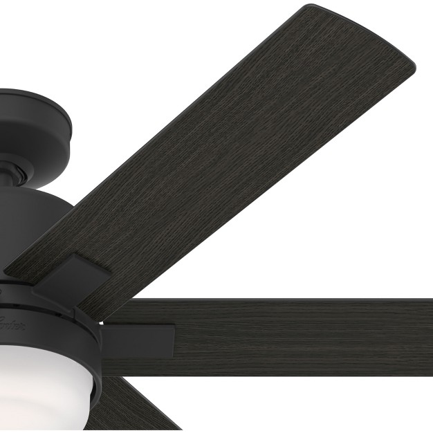 Radeon Smart Ceiling Fan With Led Light Hunter Fan