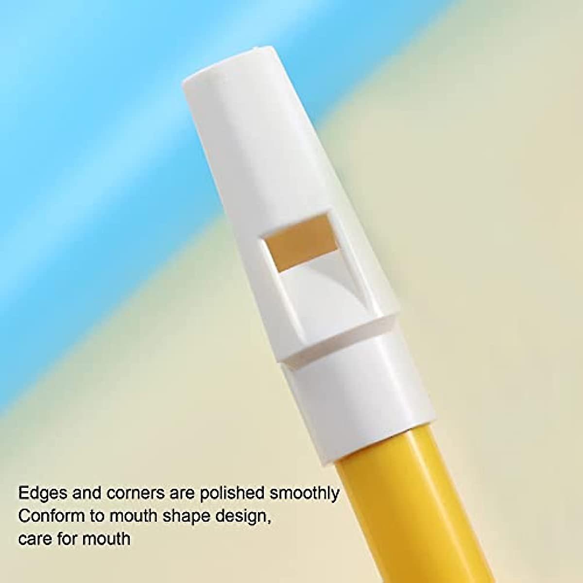 Slide Whistle Instrument  2pcs Slide Whistle Toy Metal Sliding Flute Professional Musical Instrument For Kids Beginners