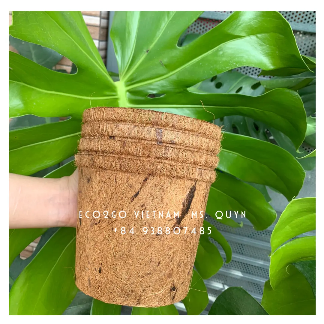 Solution Garden Supplies Coconut Coir Fiber Pot/ Coconut Plant Pot High Quality And Free Sample From Eco2go Vietnam