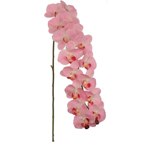 Phalaenopsis Orchid 48 Inch with 16 Real Touch Silk Blooms