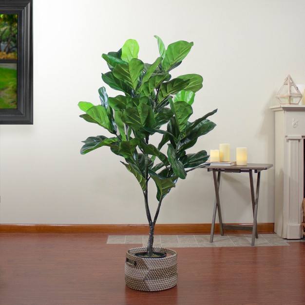 Northlight 4' Potted Two Tone Green Artificial Wide Fiddle Leaf Fig Tree