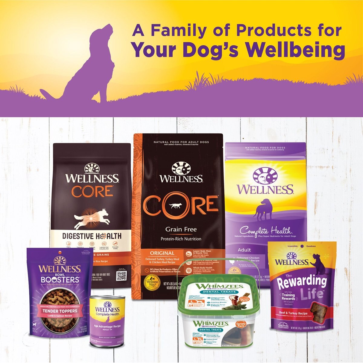 Wellness Complete Health Senior Formula Canned Dog Food