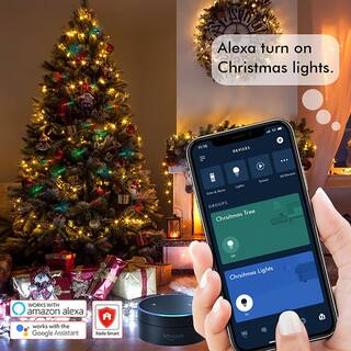 Xodo Smart Christmas Lights OutdoorIndoor 35 ft. Plug-In Globe Bulb LED String Light Compatible with AlexaGoogle Assistant DL1