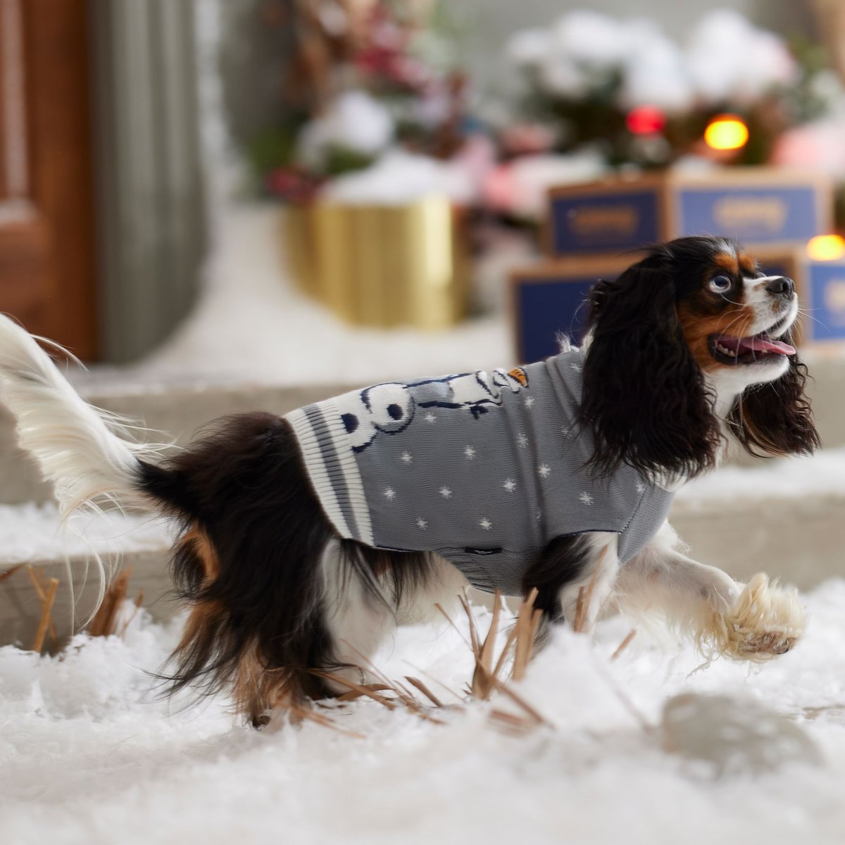 Disney Frozen's Olaf Dog and Cat Sweater