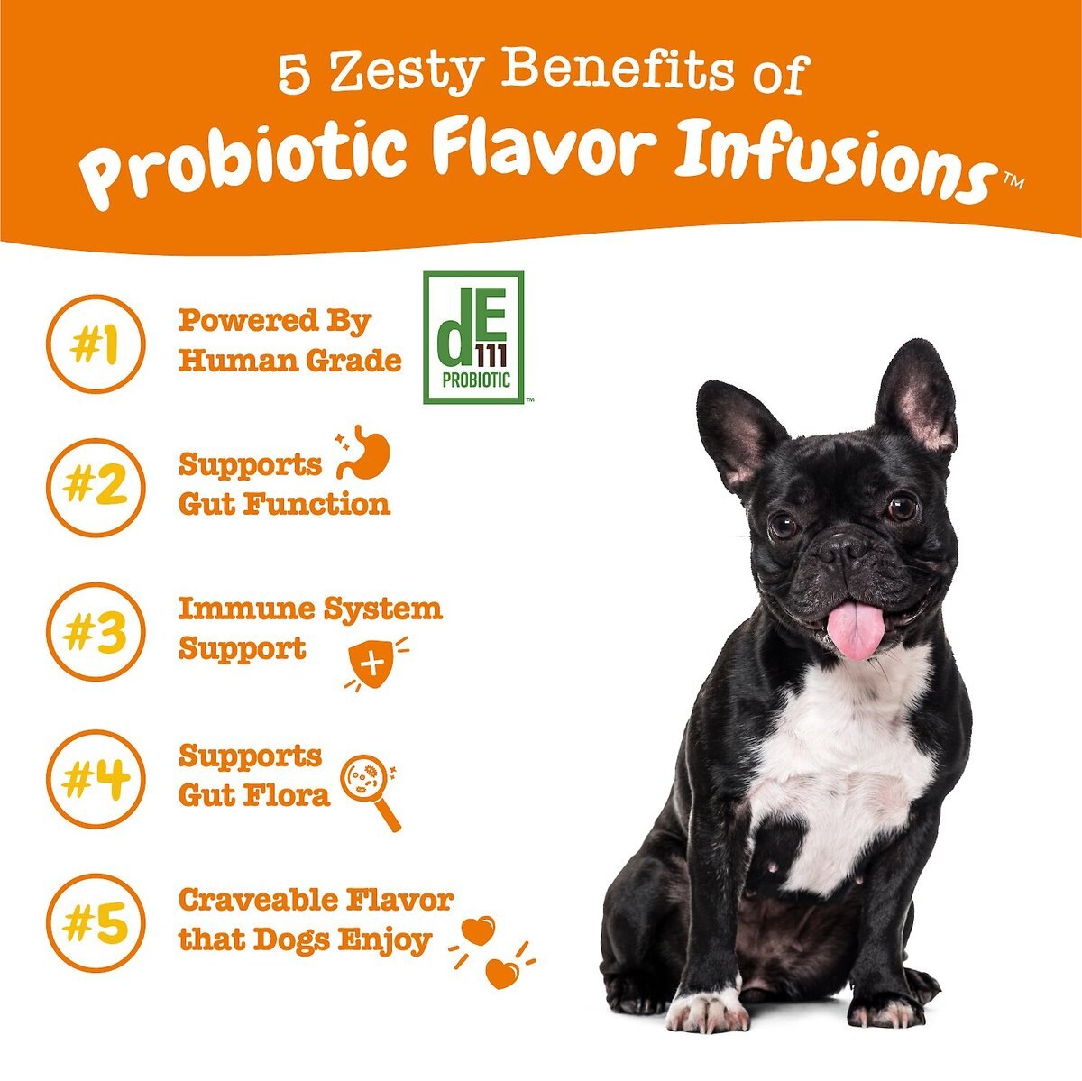 Zesty Paws Probiotic Flavor Infusions Chicken Flavored Liquid Digestive Supplement for Dogs