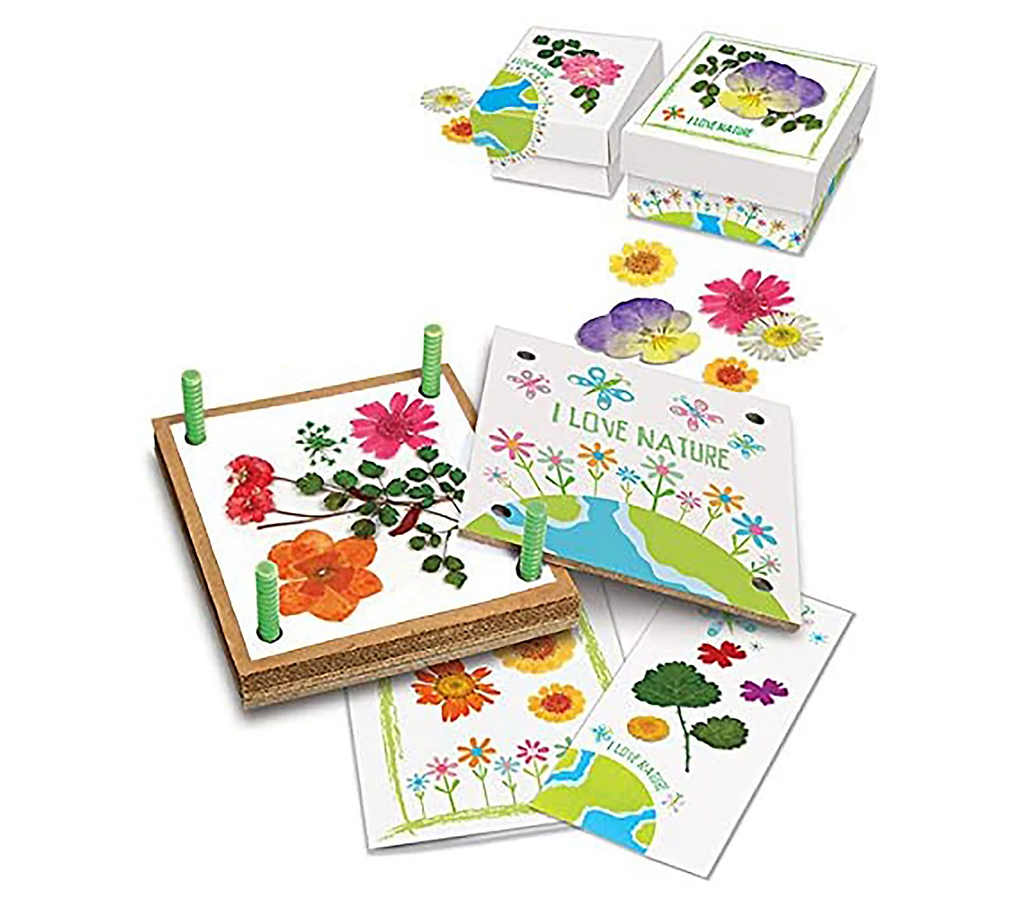 Toysmith Pressed Flower Art Kit