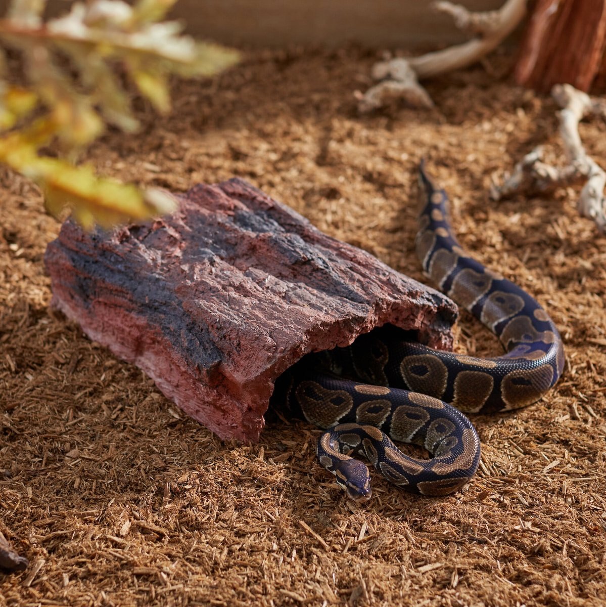 CC Pet Petrified Wood Cave Reptile Hide