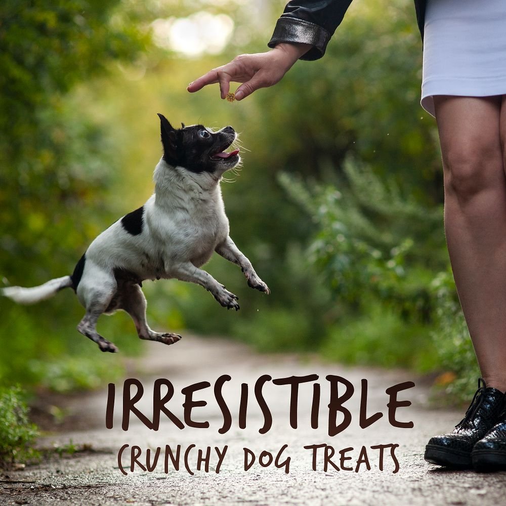 Fruitables Skinny Minis Grilled Bison Flavor Soft and Chewy Dog Treats