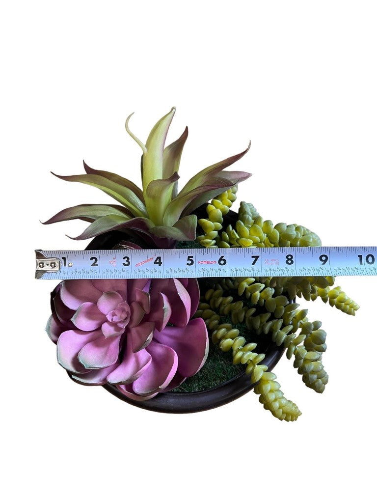 Artificial Gorgeous Succulent Plant in Plastic Pot