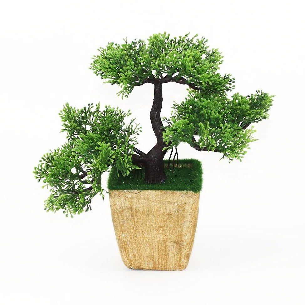 Gorgeous Bonsai with Very Attractive Pot in Green color-Excellent Gift