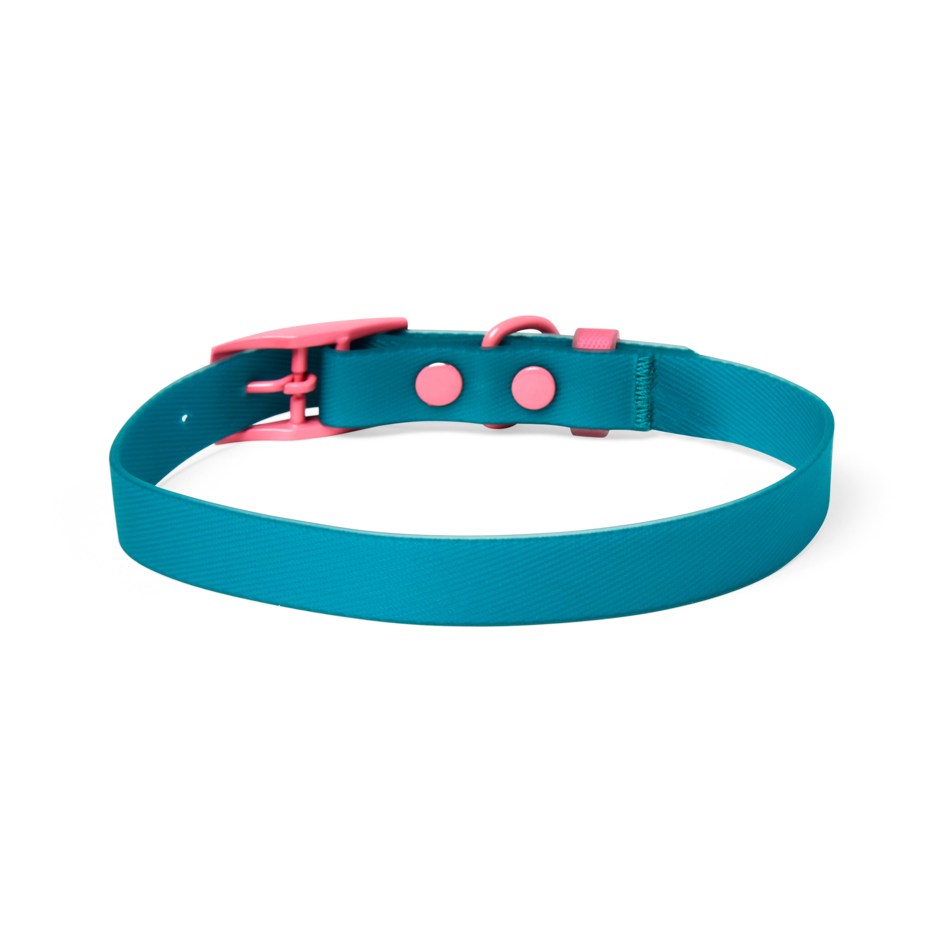 YOULY The Extrovert Water-Resistant Teal  Pink Colorblocked Dog Collar， Small