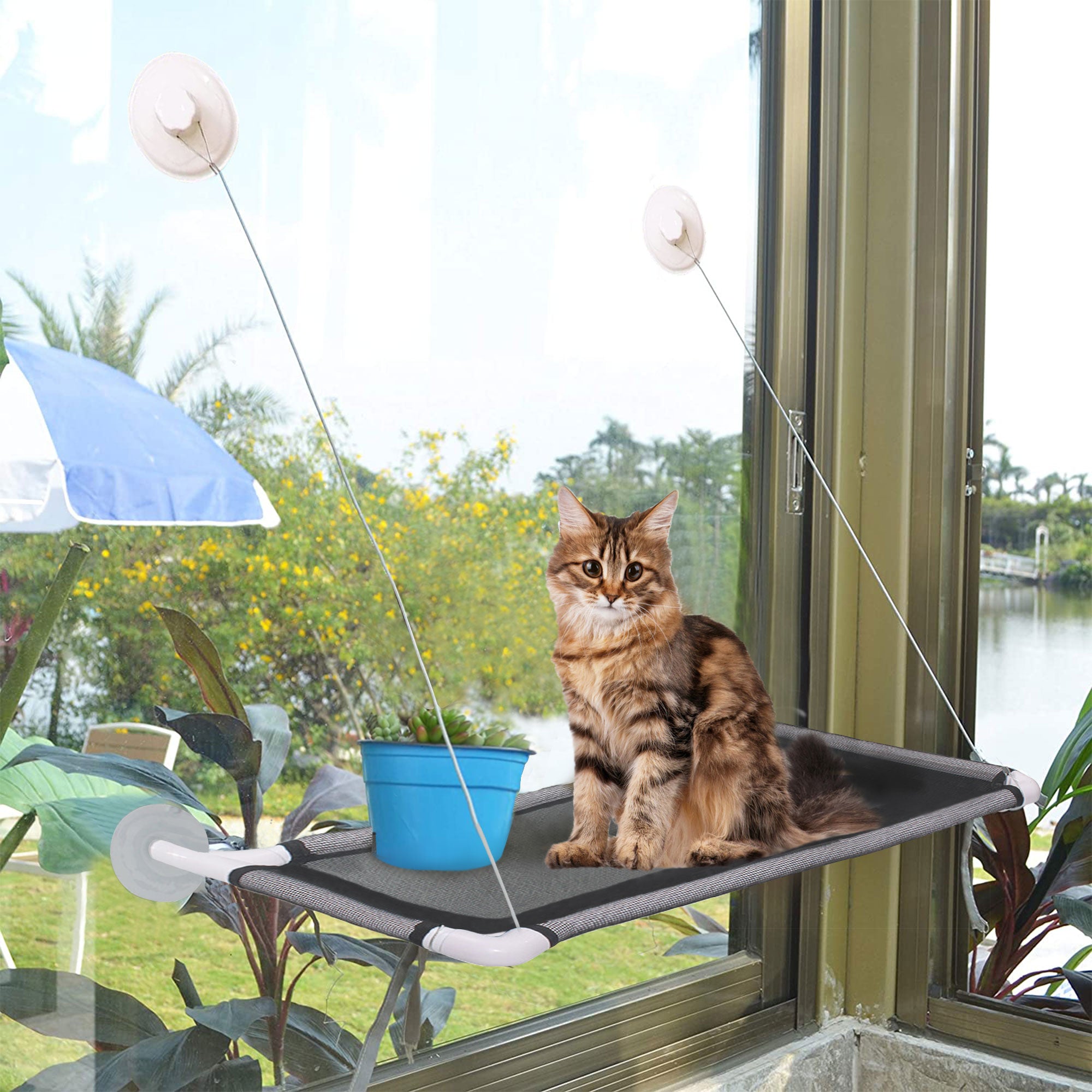 PUMYPOREITY Cat Window Perch， Cat hammocks with 4 Suction Cups， Cat Bed 360° Sunbathe， Cat Resting Seat， Breathable Mesh