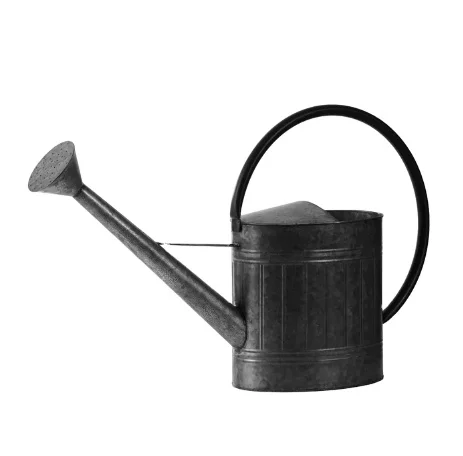 Home Portable Plants Watering Iron Can Indoor Plants Accessories Plant Watering Metal Can Garden Supplies