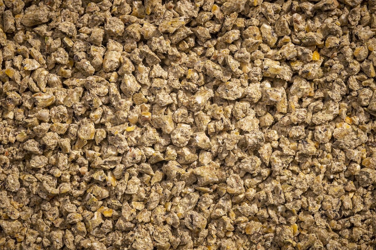 Modesto Milling Organic， Non-Soy Layer Crumbles Poultry Feed