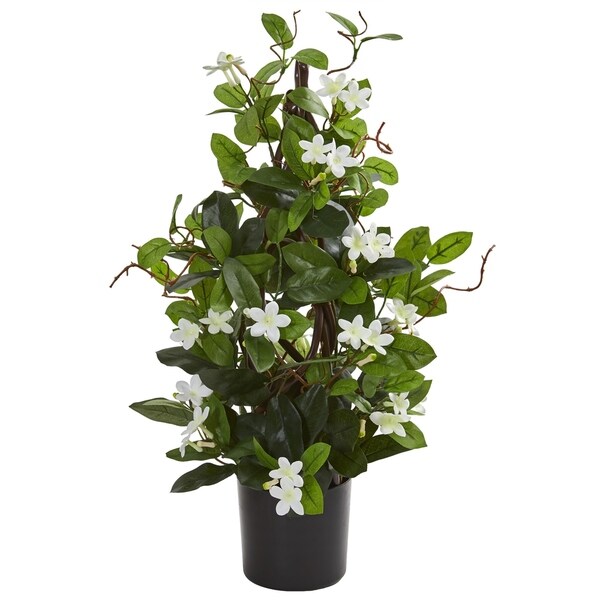 24 Stephanotis Artificial Climbing Plant