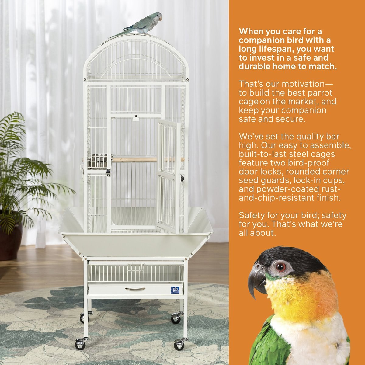 Prevue Pet Products Small Dome Top Bird Cage