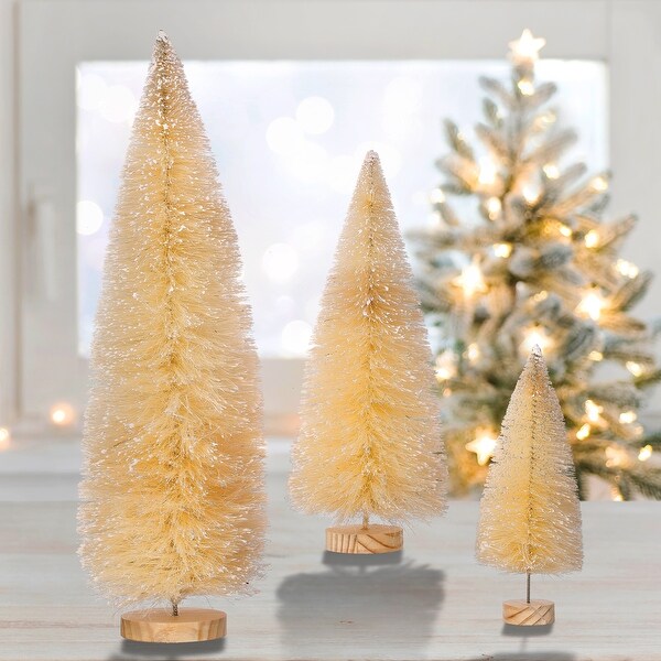 9/12/18 Winter Retreat Sisel Tree Set of 3