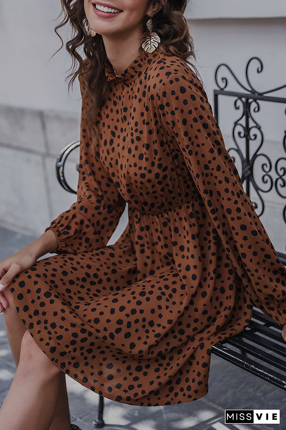 Leopard Print High Waist Swing Dress