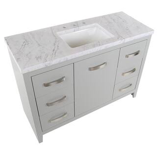 Home Decorators Collection Blakely 49 in. W x 19 in. D Bath Vanity in Sterling Gray with Stone Effects Vanity Top in Lunar with White Sink BK48P2-LY